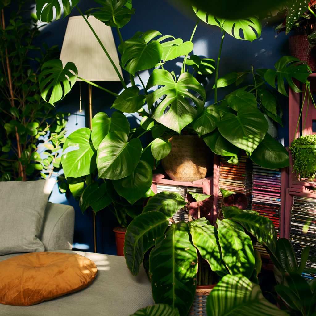 Modern Design Yachts Sams Unfinished Furniture